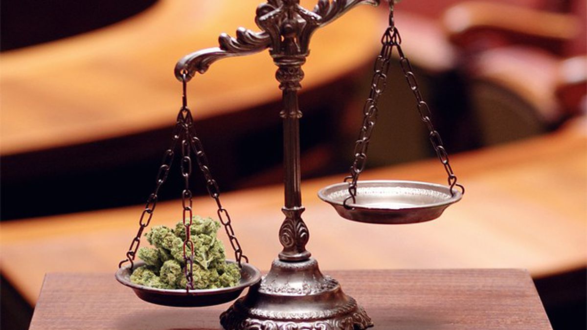 Cannabis lawyer Malta