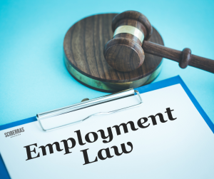 Employment Lawyer Malta
