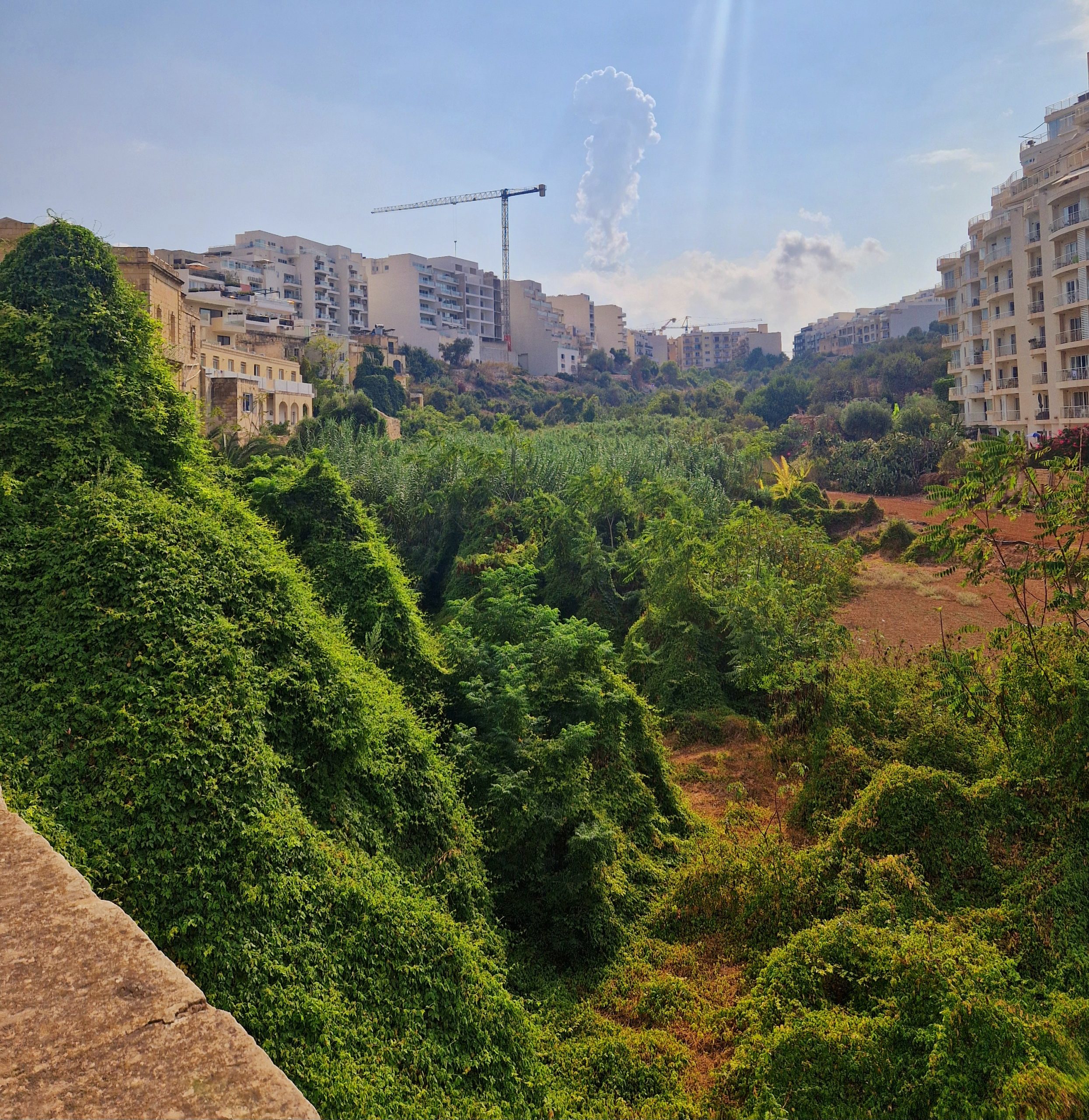 ENVIRONMENT AND PLANNING REVIEW TRIBUNAL